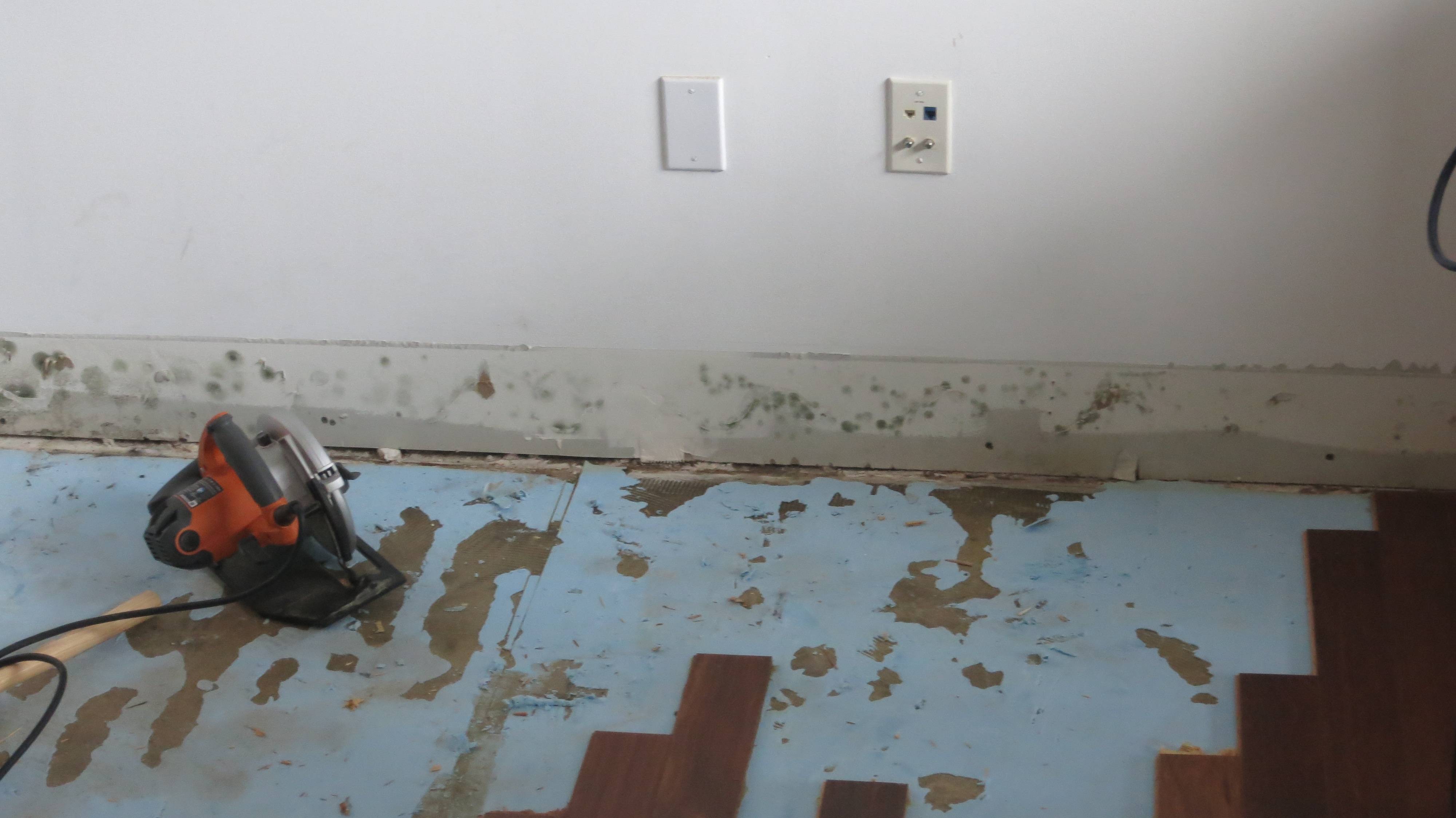 We live in florida, and in our home we. Mold On Drywall Should I Clean Up Or Replace Home Improvement Stack Exchange