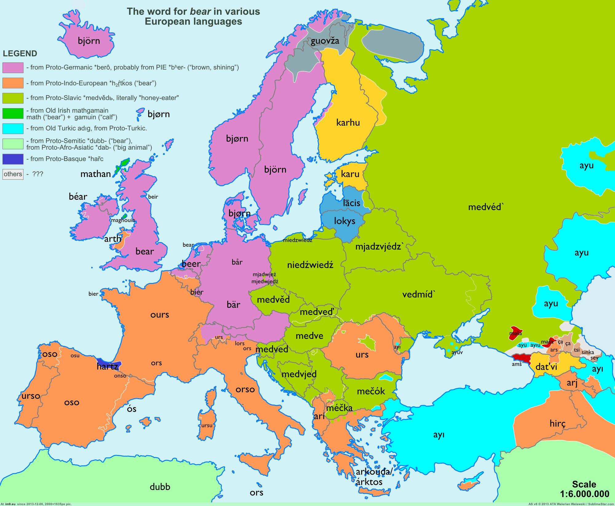 historical linguistics Is there any evidence that the modern word for