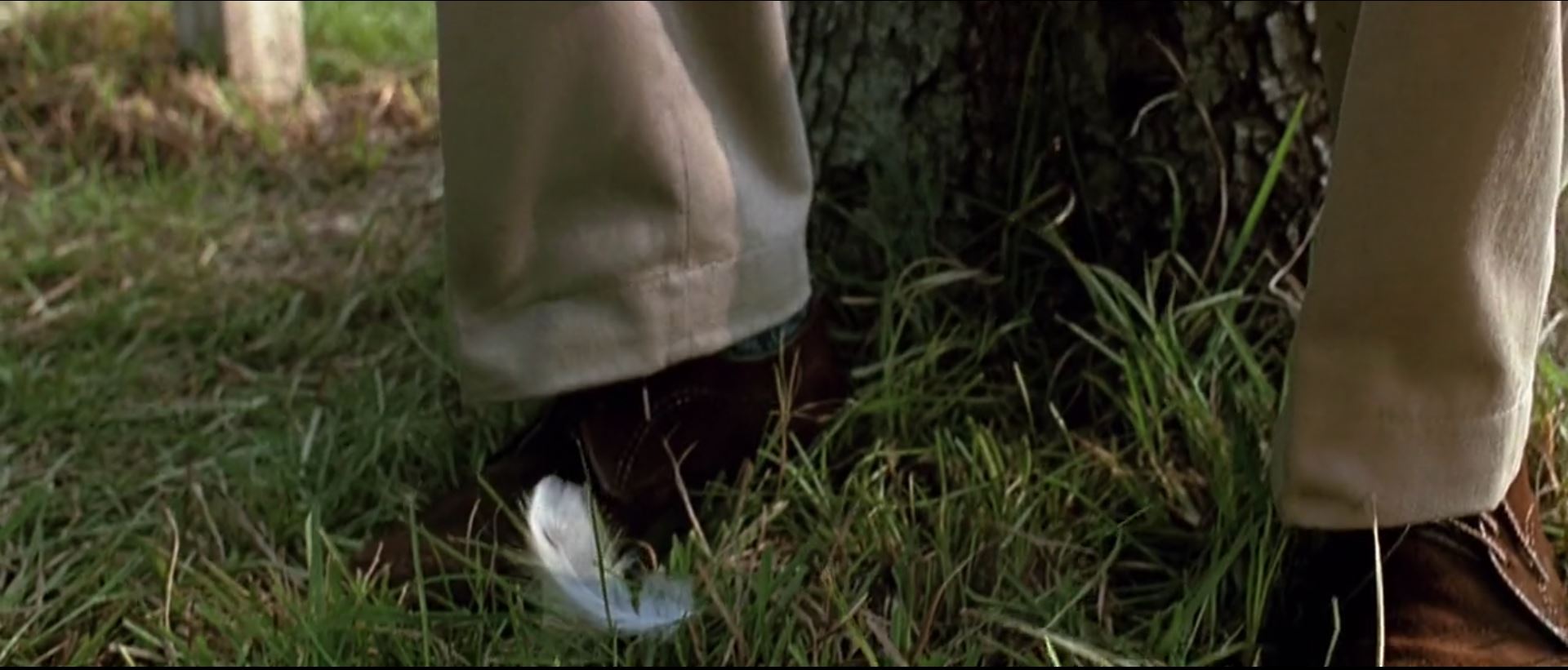 analysis What's the significance of the white feather? Movies & TV