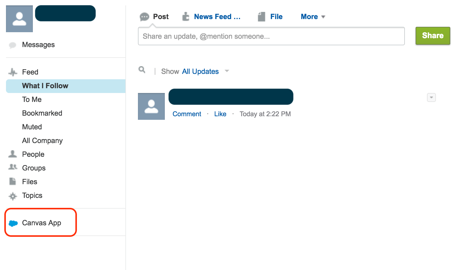 Canvas App not showing in Chatter in Lightning UI Salesforce Stack
