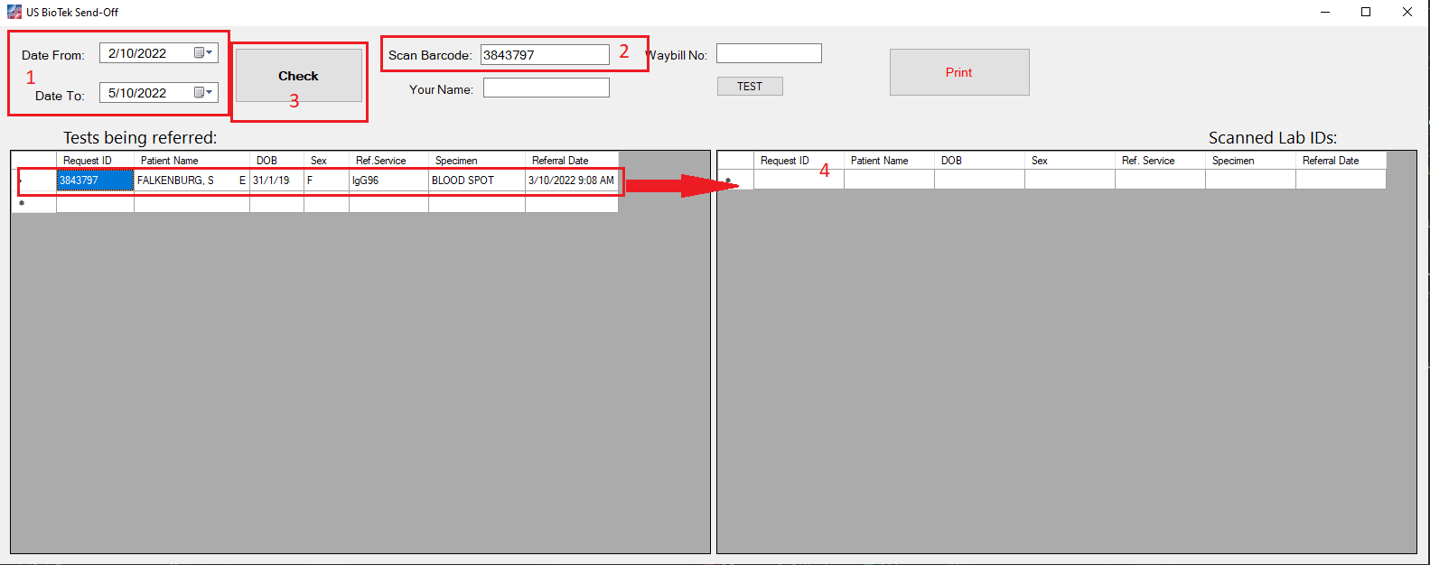 add DataTable rows to DataGridView Stack Overflow