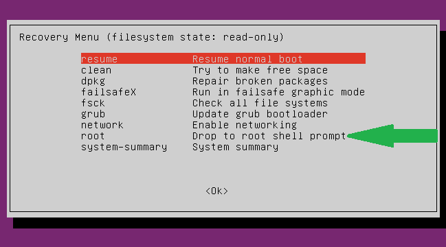 ubuntu Changing ownership of ‘/usr/bin/’ Operation not permitted