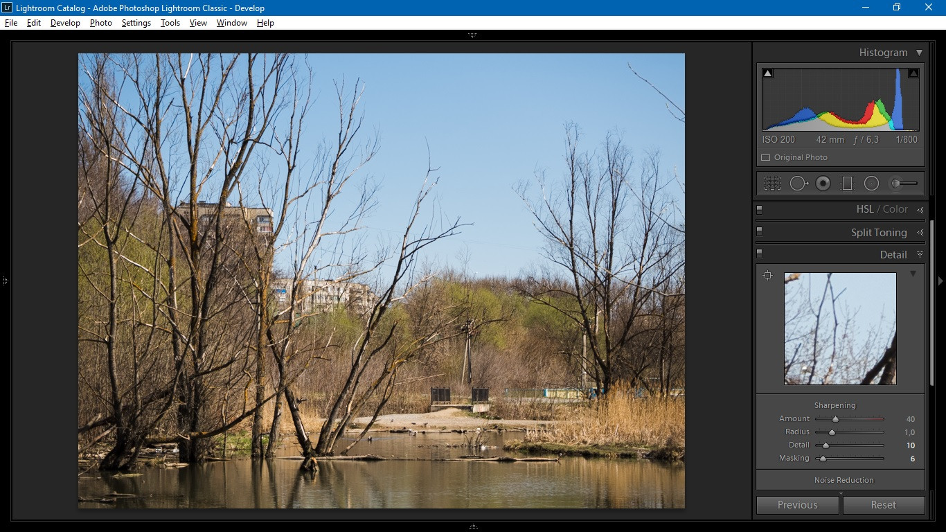 How To Correct Iso Grain In Lightroom Lightroom Noise Reduction Best