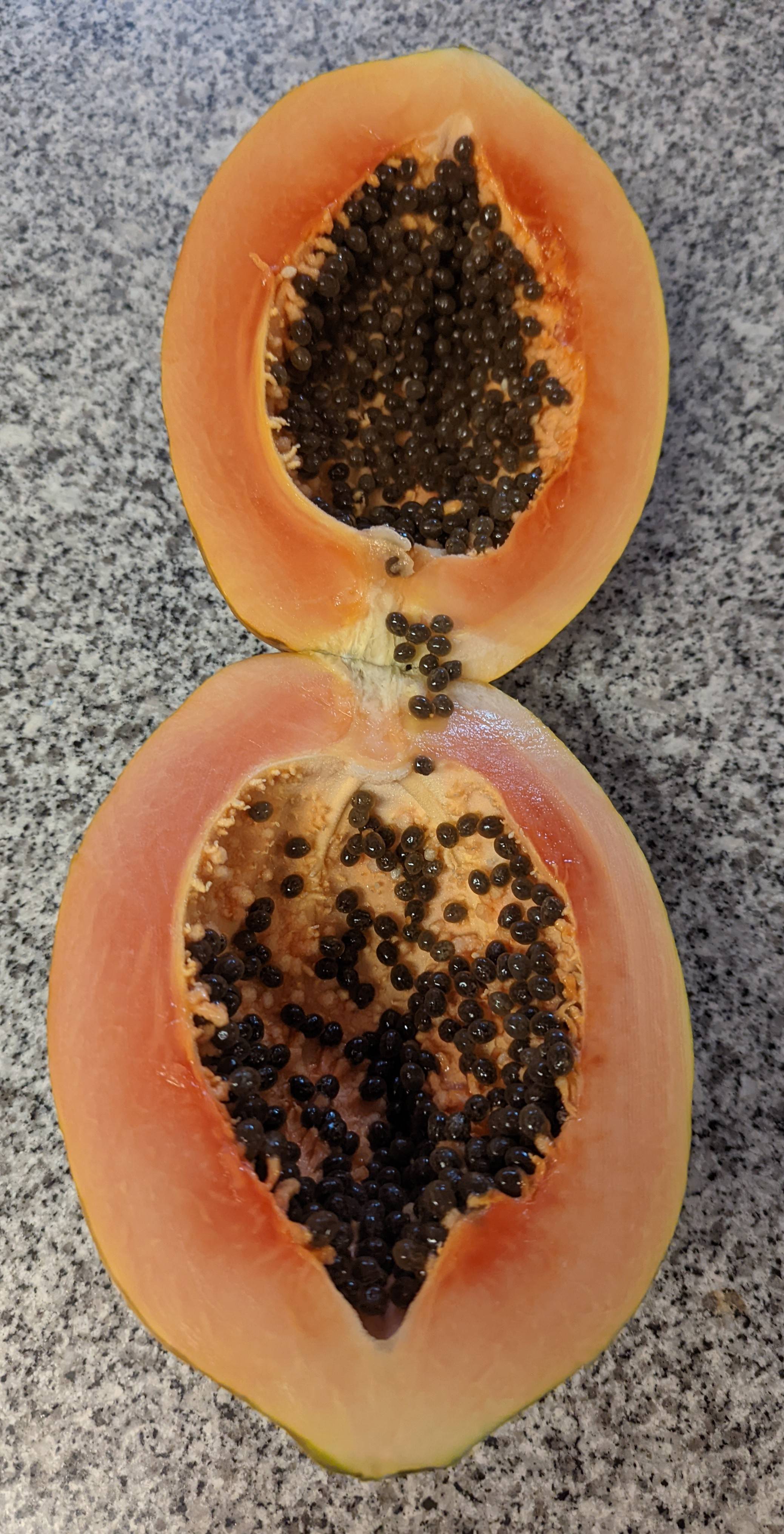 fruit Can one tell from the outside whether a papaya has seeds? Seasoned Advice