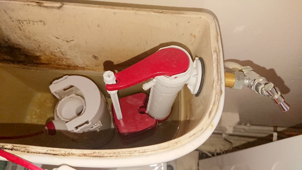 Delay between toilet flushing and filling Love & Improve Life