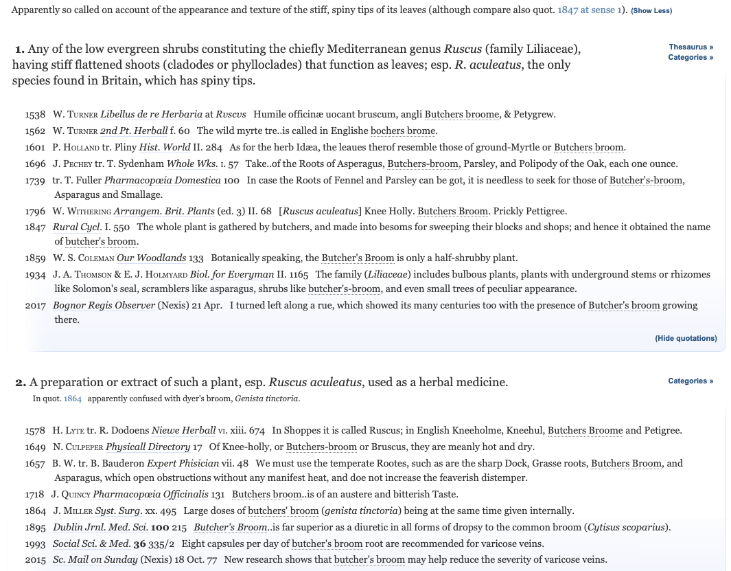 etymology The “prickmouse” and the “butcher's broom” English