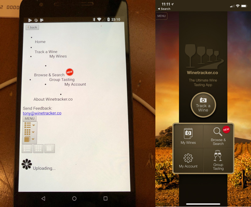 javascript Can't get CSS and JS files to load on Cordova Android