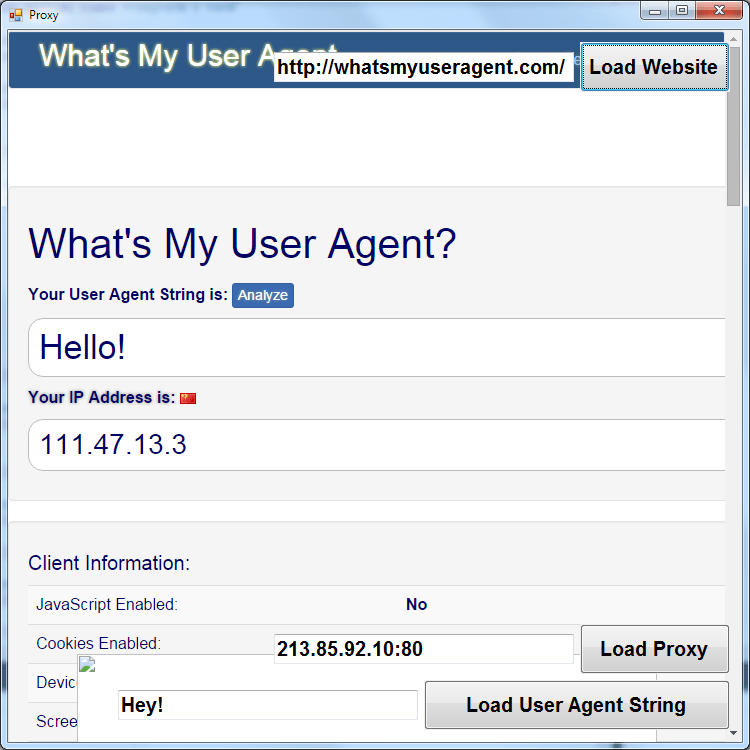 User Agent Info IP location