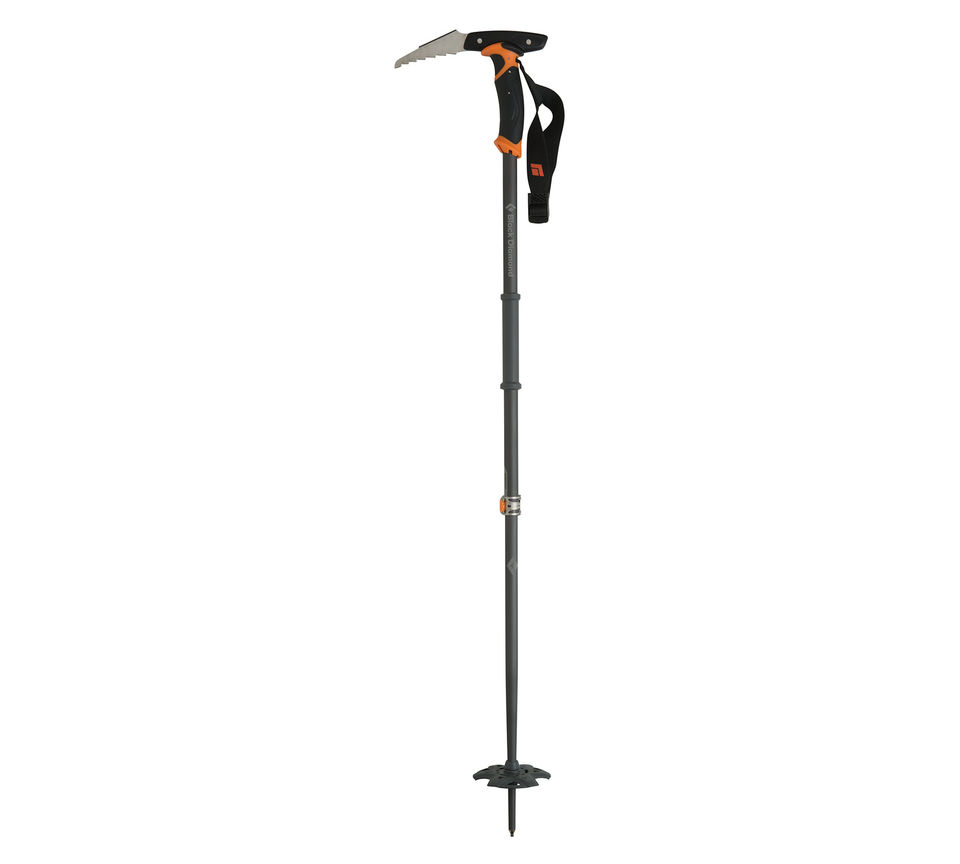 hiking Whippet as trekking pole? The Great Outdoors Stack Exchange