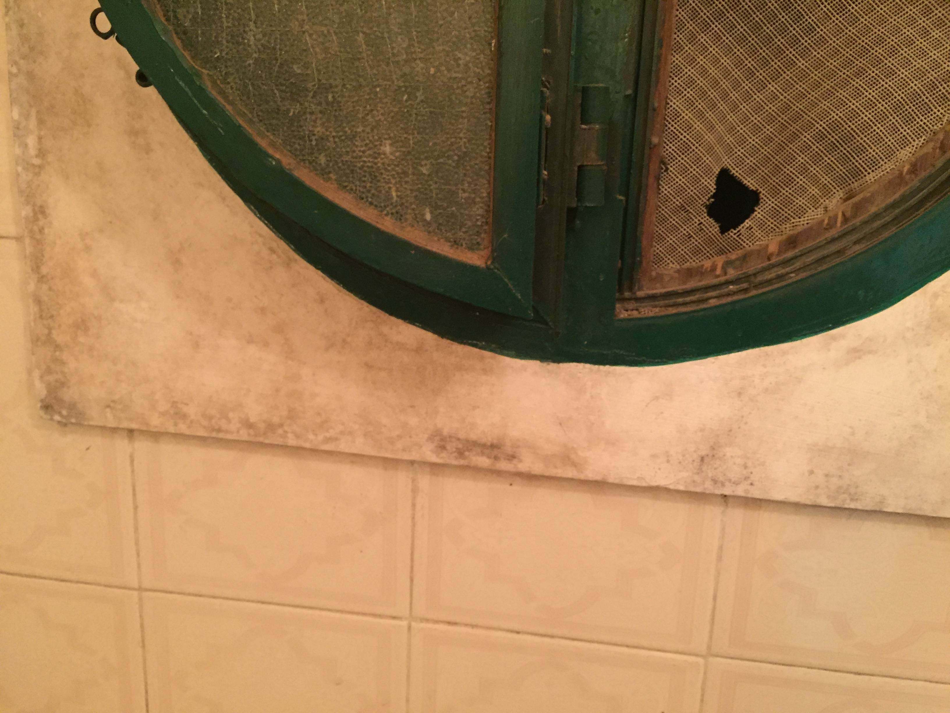 walls Is this mold in my bathroom? Home Improvement Stack Exchange