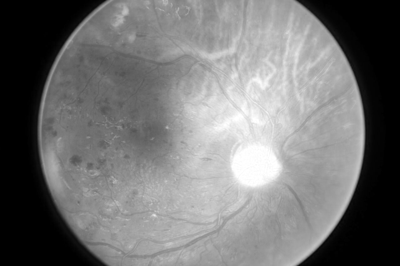 r Conversion from Color image to 8bit gray scale Stack Overflow