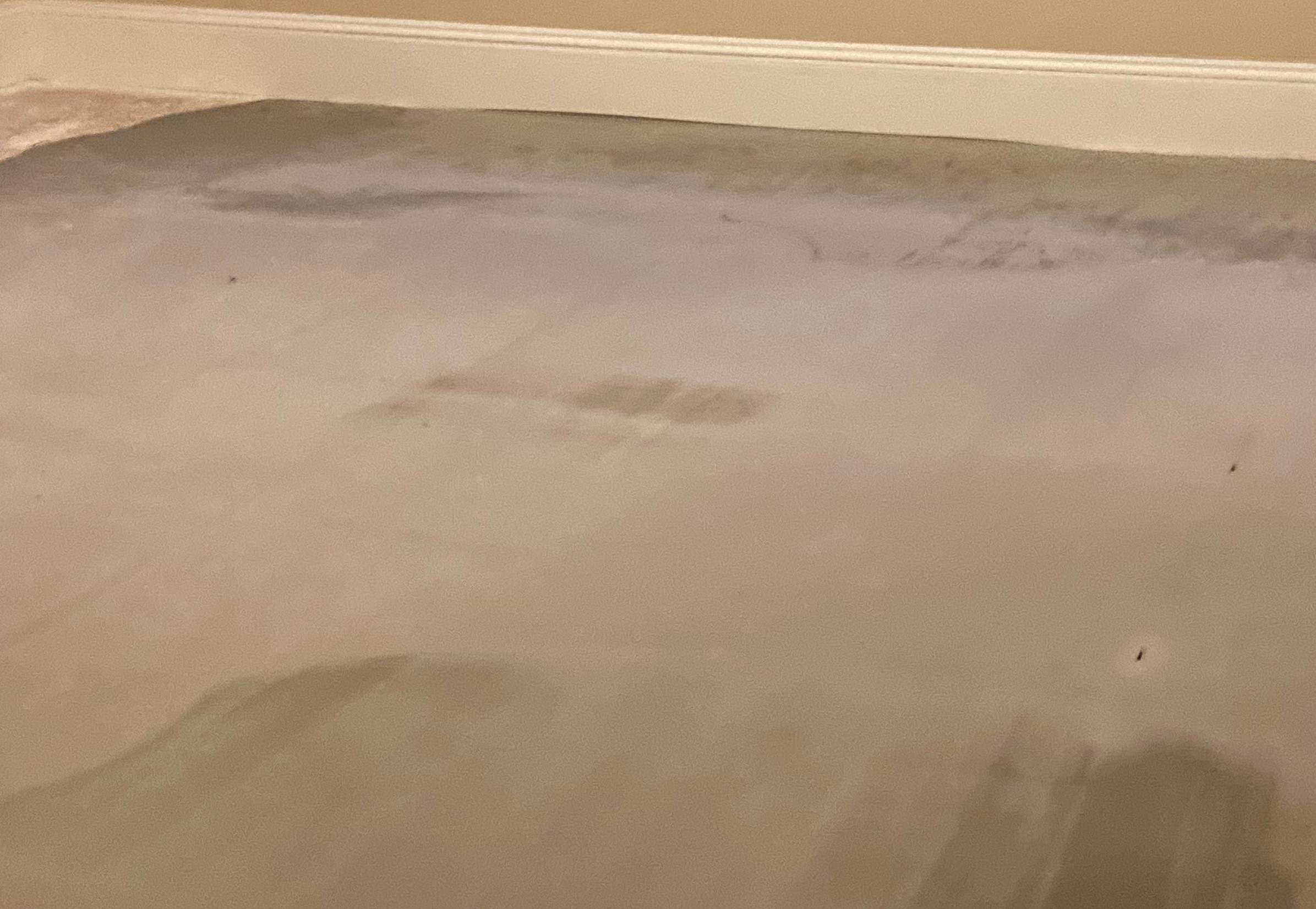 flooring Installer Mixed MAPEI Primer T with Self Leveling Plus