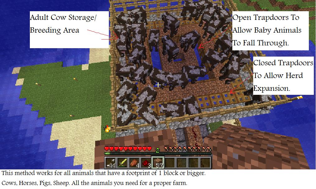 minecraft How to separate adult from baby animals? Arqade