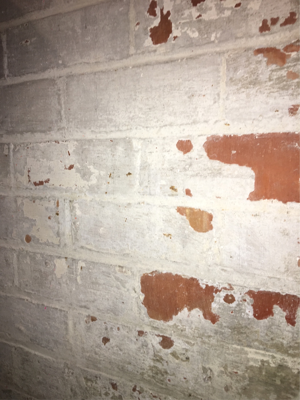 Is this paint lead based – Love & Improve Life