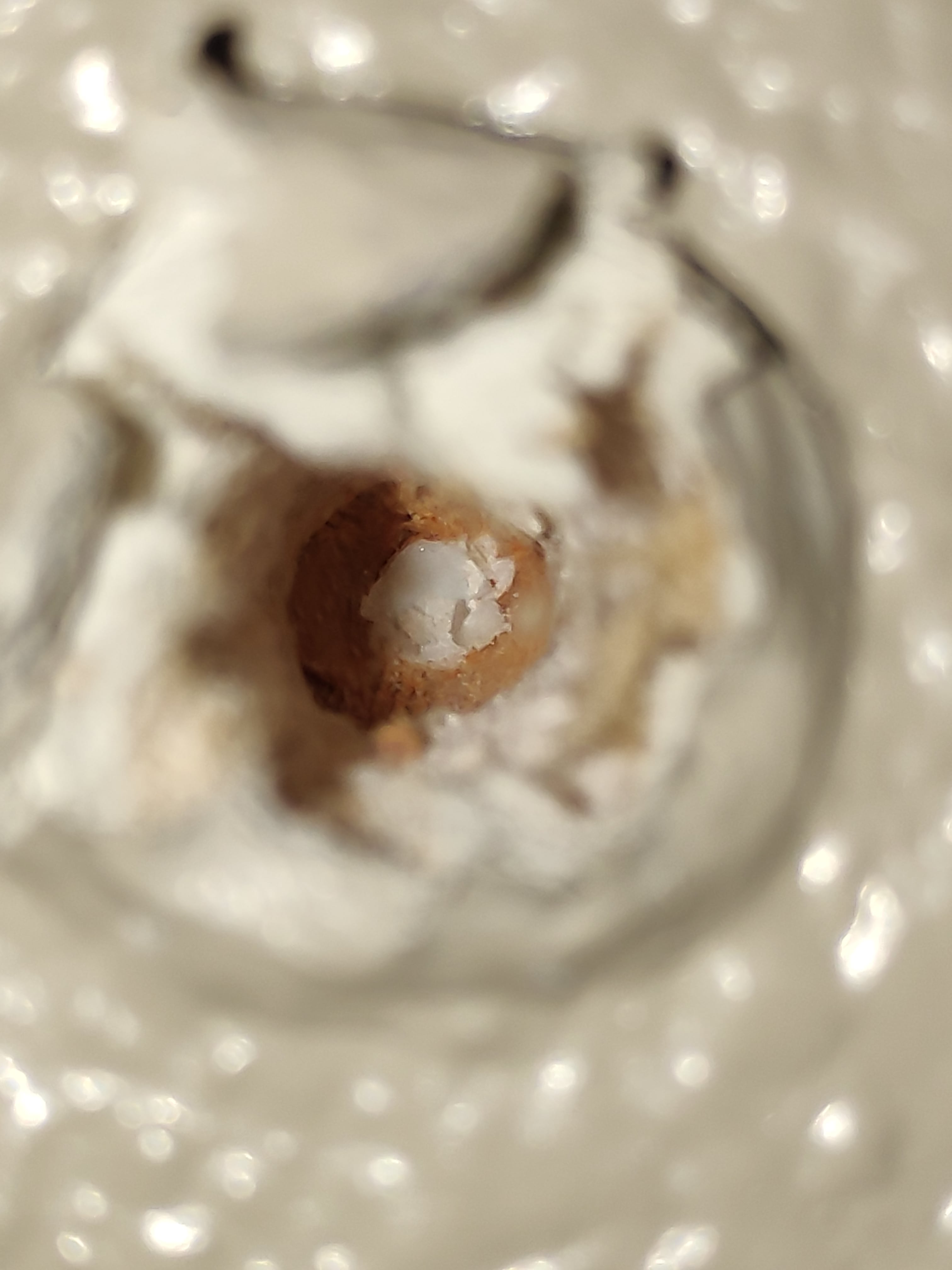 Drywall wall anchor didn’t go all the way in hit a white plastic