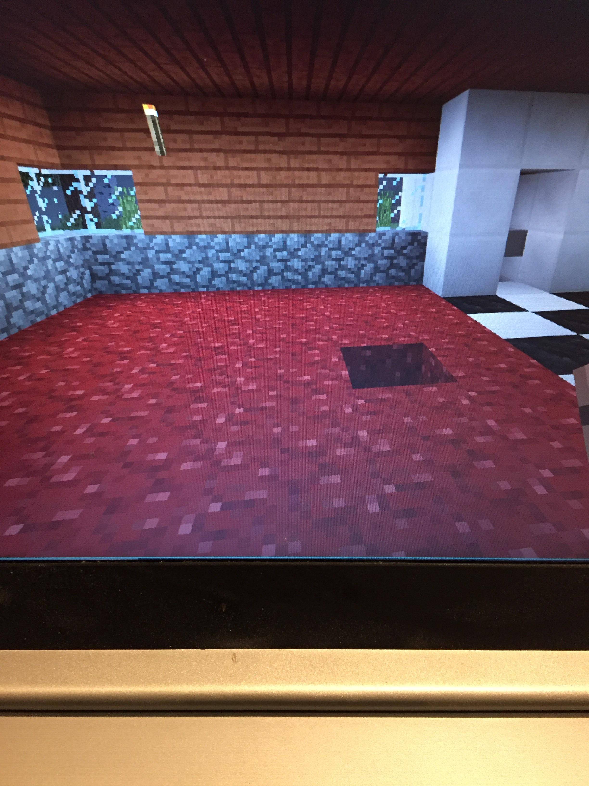 minecraft java edition I can pick thing up but I can’t see where it