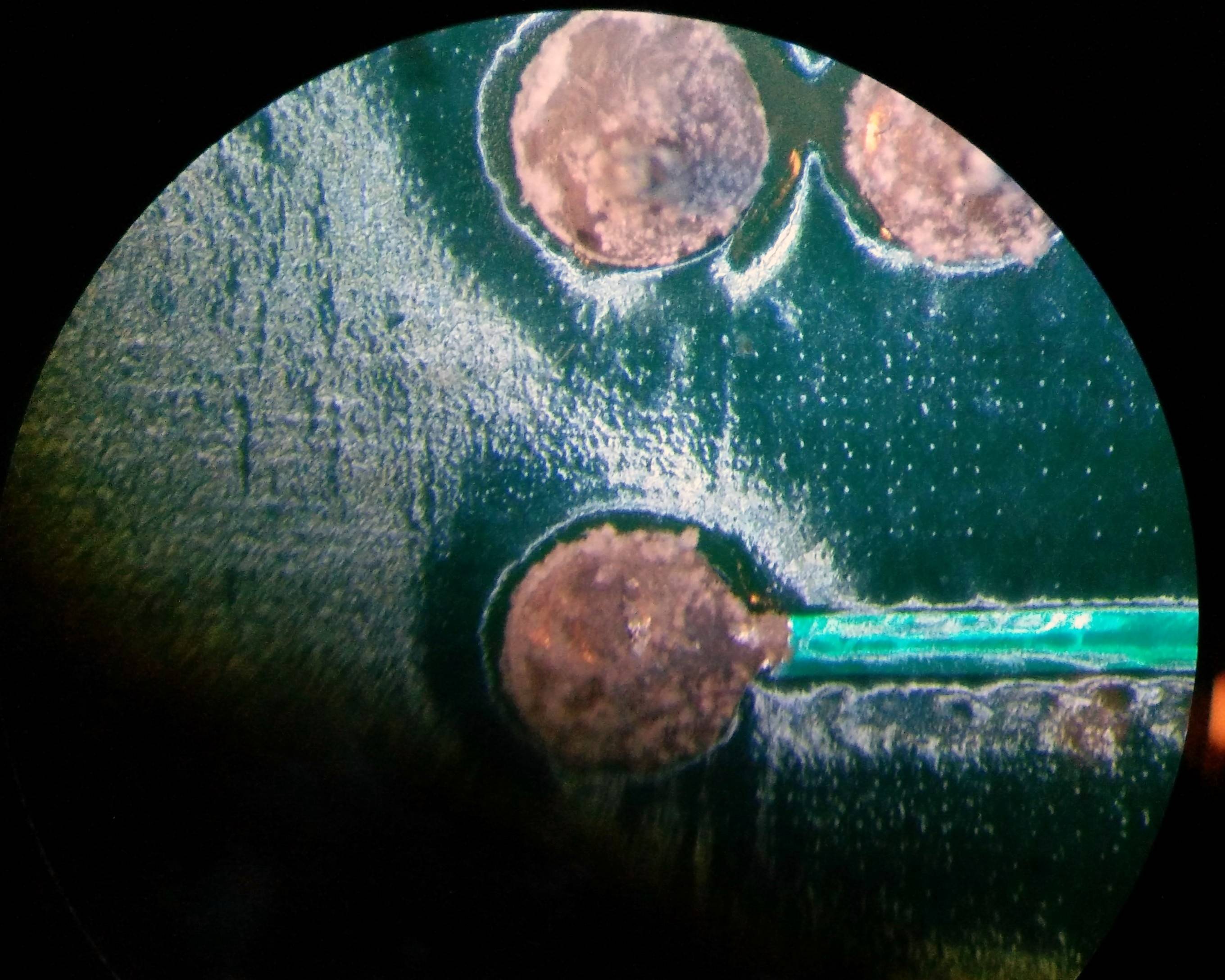 soldering What is this white stuff on the solder of this PCB