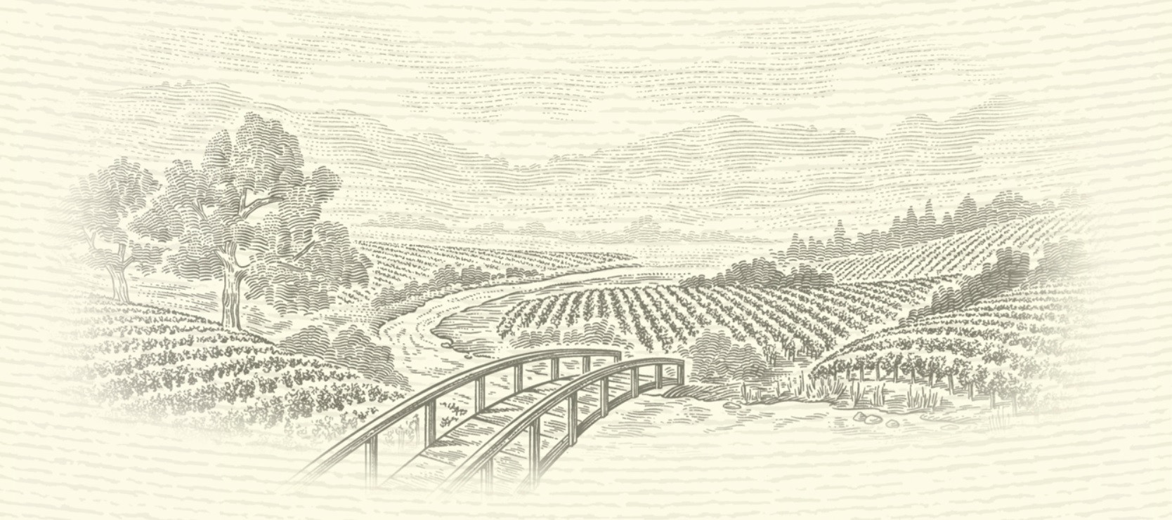 How to describe this style of pencil art? Arts & Crafts