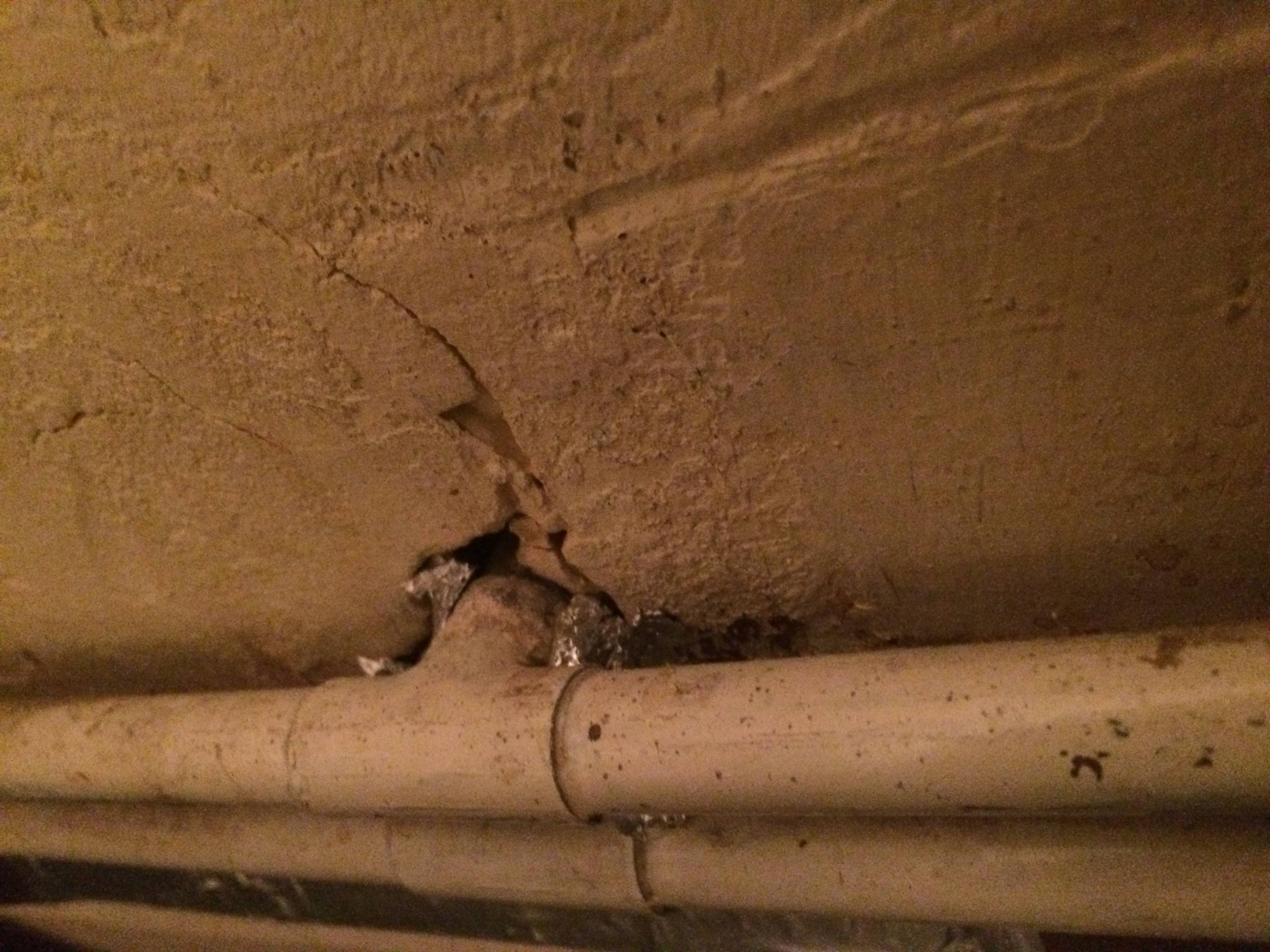 Can mold be leaking through pipes cracks/holes? Home Improvement