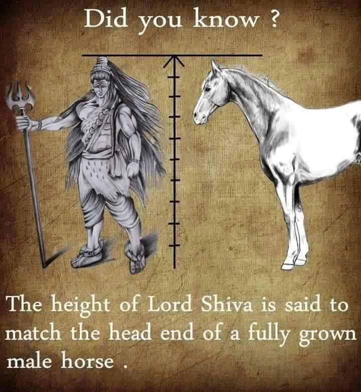 Real Photos Of Lord Shiva