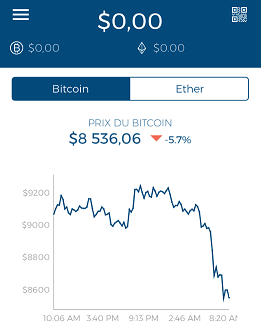 Trading - What Happens If I Buy Bitcoins And The Price Goes Down? - Bitcoin Stack Exchange
