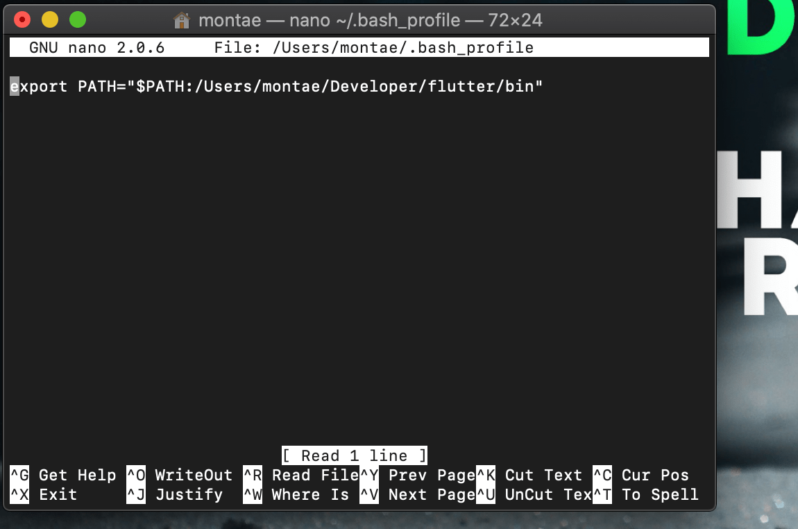 How to Permanently add Flutter to Path in Mac Flutter Fixes