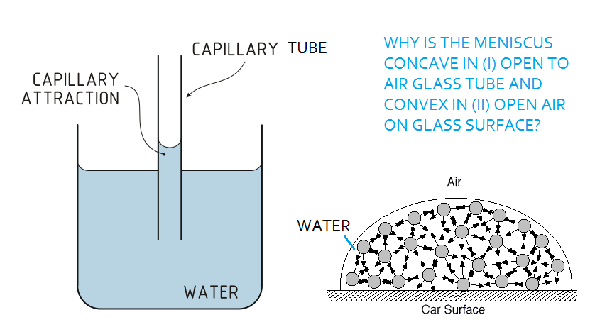 surface tension Why is the angle of contact different for a meniscus