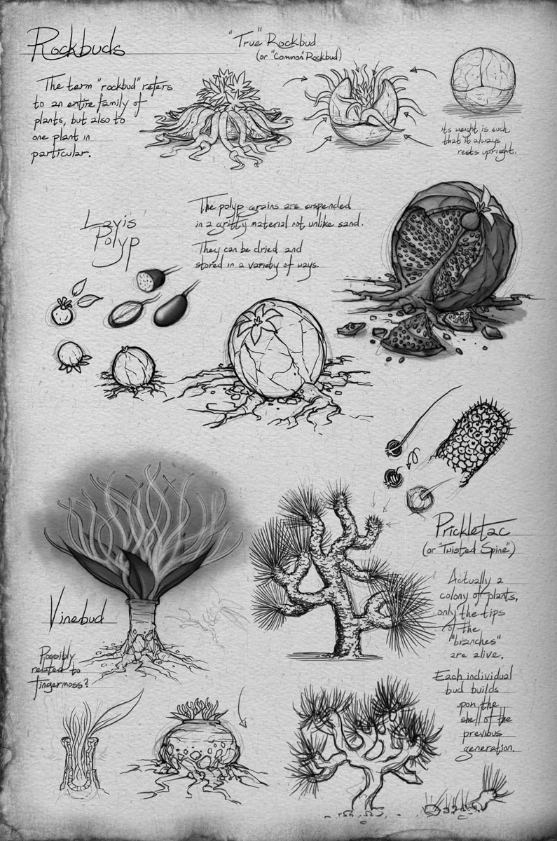 cosmere Do plants on Roshar that move use nervous systems? Science