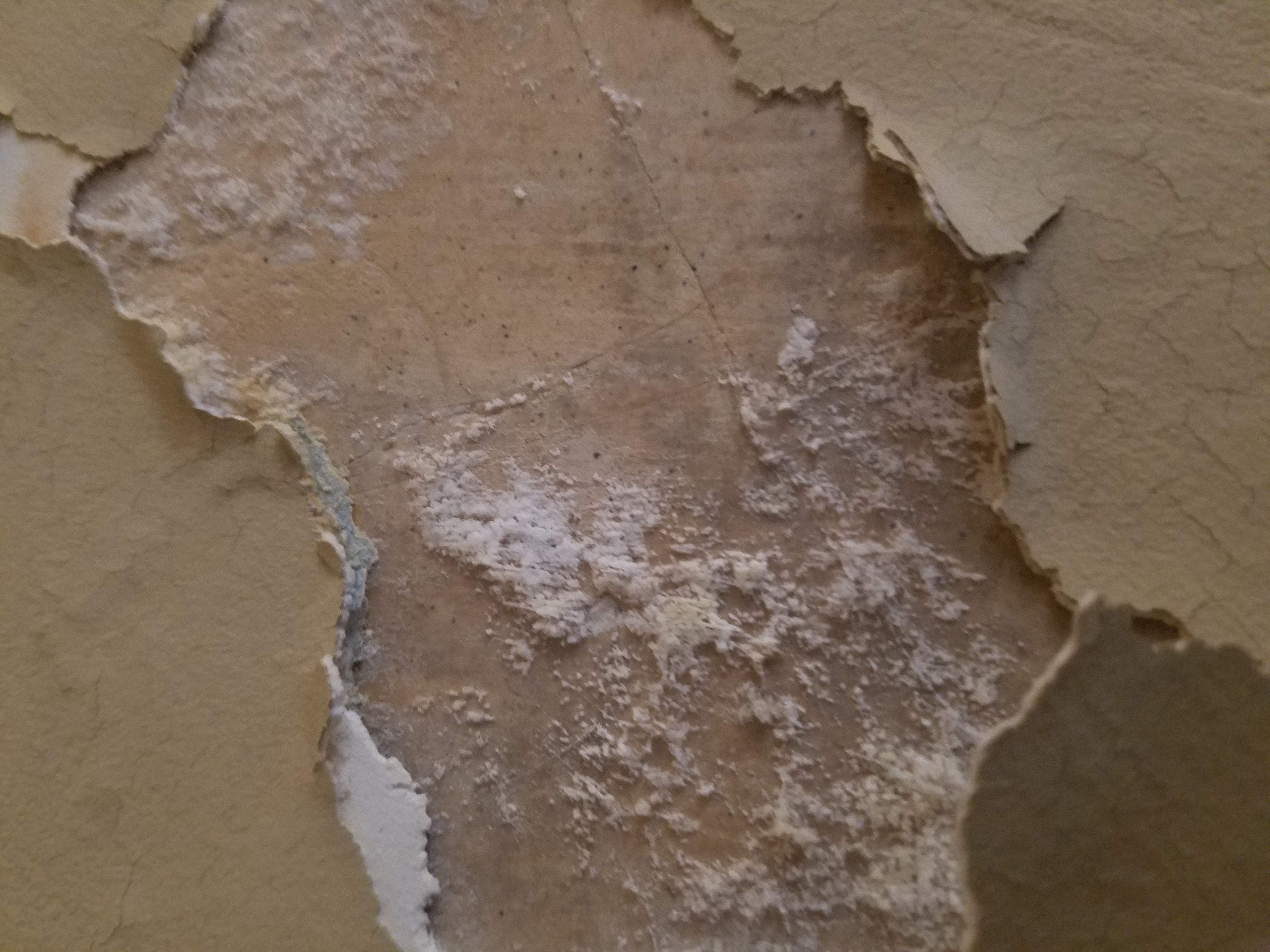 water damage Efflorescence or something else? Home Improvement