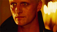 How Was The Blade Runner Replicant Eye Reflection Effect Done Photography Stack Exchange