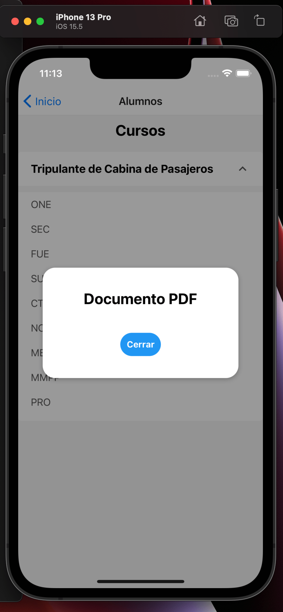 expo Why is my PDF not displayed in a modal in React Native? Stack