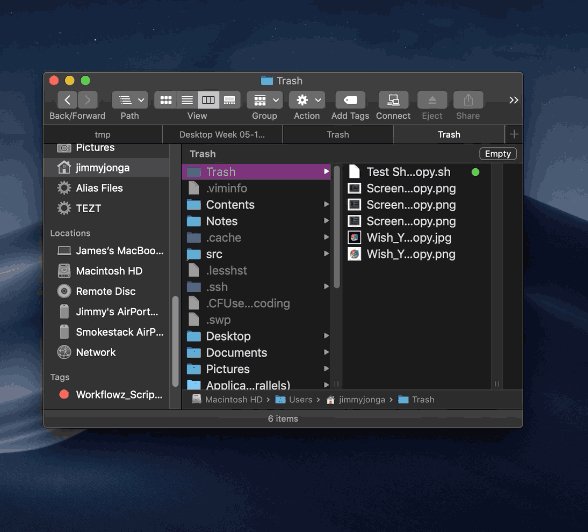 Mac sierra force empty trash terminal denishead