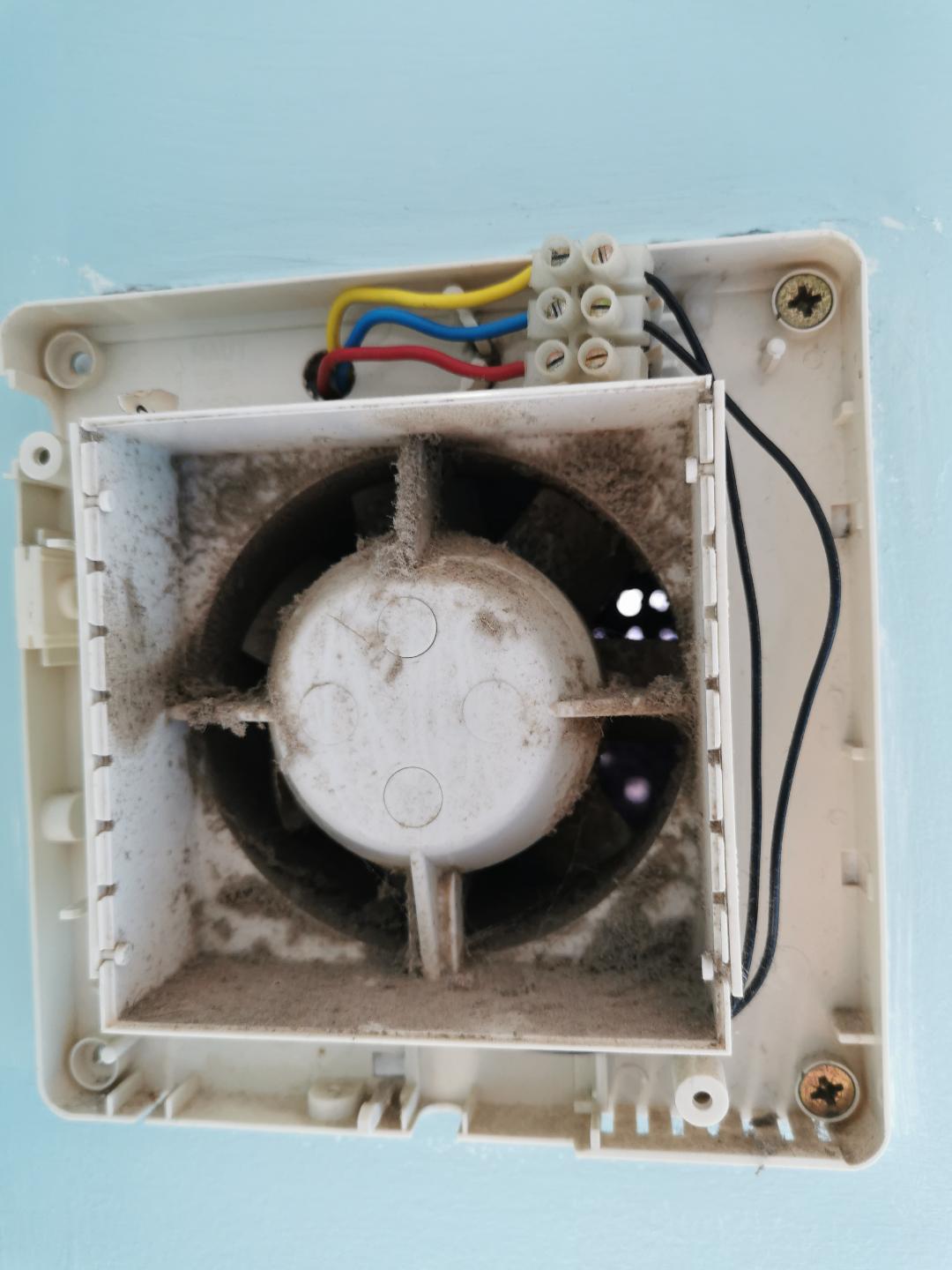 electrical Electric Wire Color Extractor Fan Home Improvement