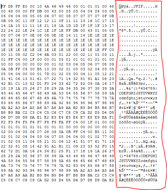 How do i convert bytes of a file into chars and show them in a