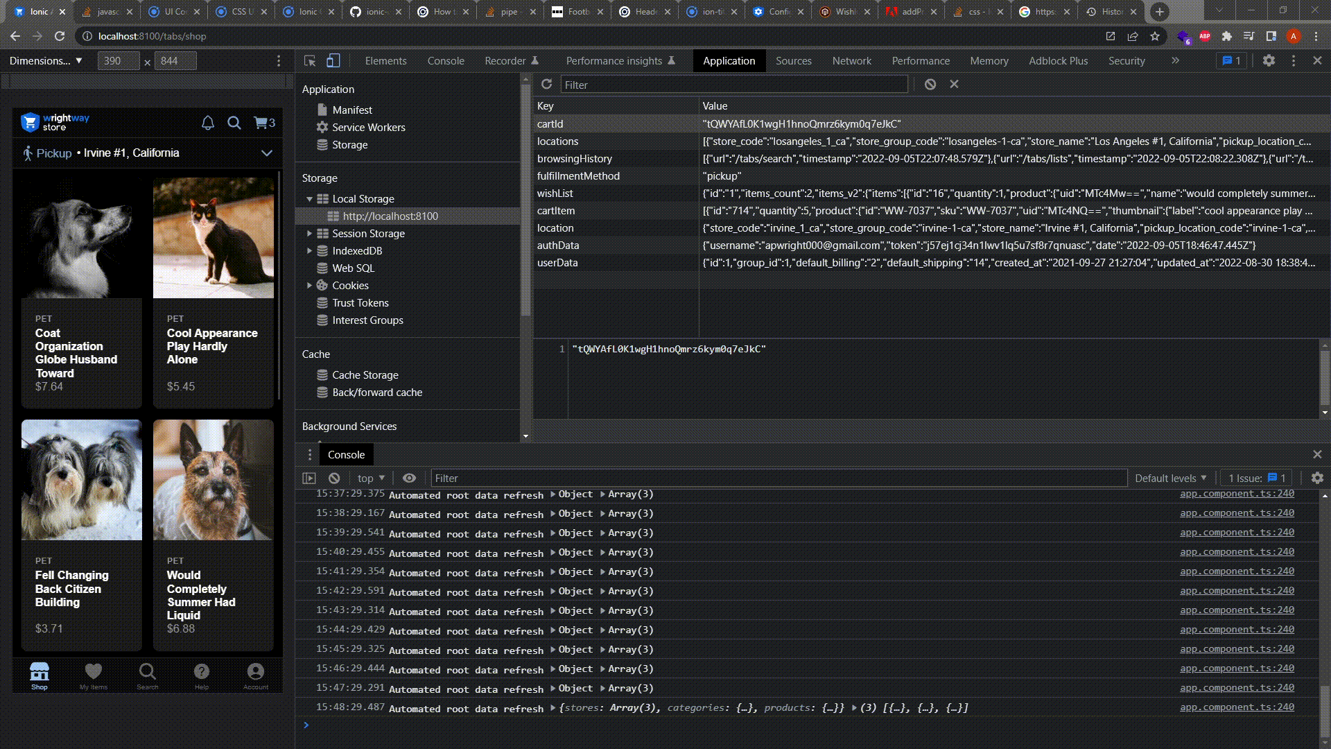 Removing an item from Local Storage on Chrome Dev Tools no longer gives