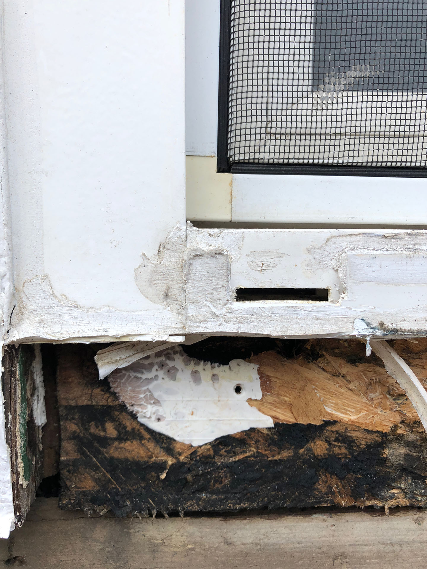 How to replace rotten window frame? Home Improvement Stack Exchange