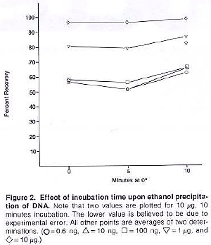protocol Time required for RNA precipitation in ethanol Biology