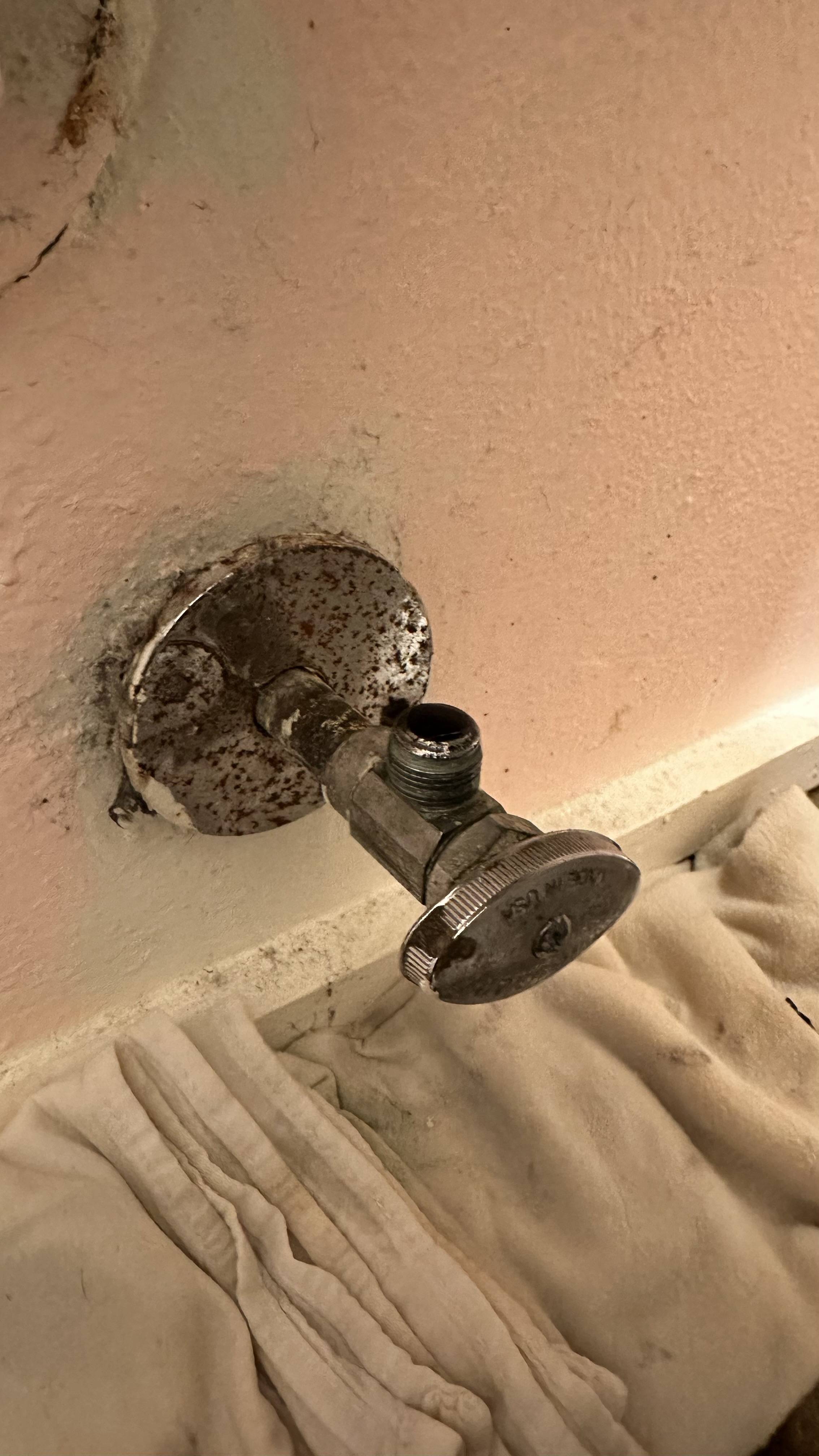 What size flexible toilet supply line will fit my shutoff valve