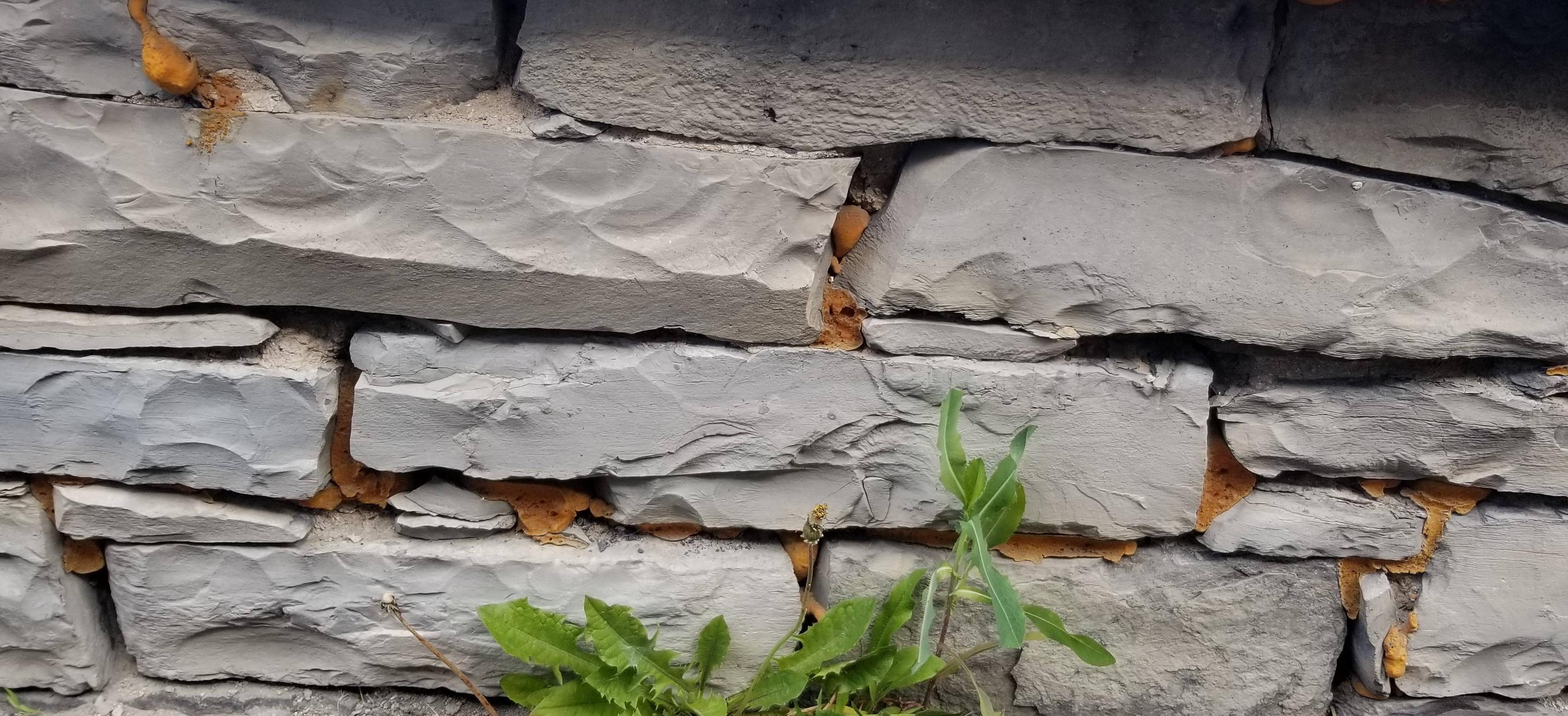 Foundation Identifying a Fieldstone Foundation and Using Type O