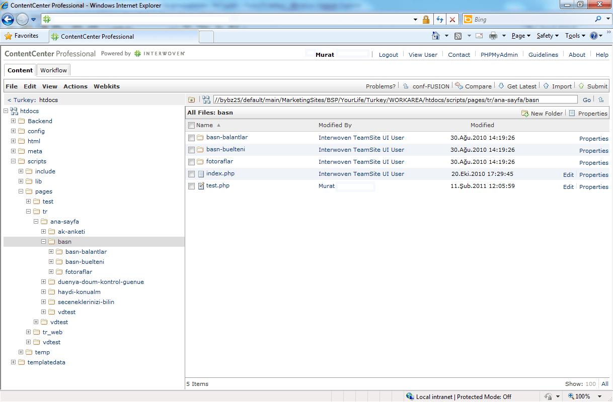 content management system Trying to get along with Interwoven Stack