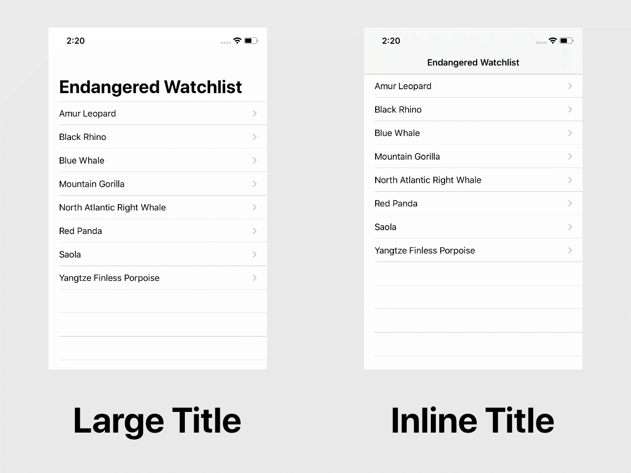 swift SwiftUI How to set the title of a NavigationView to large