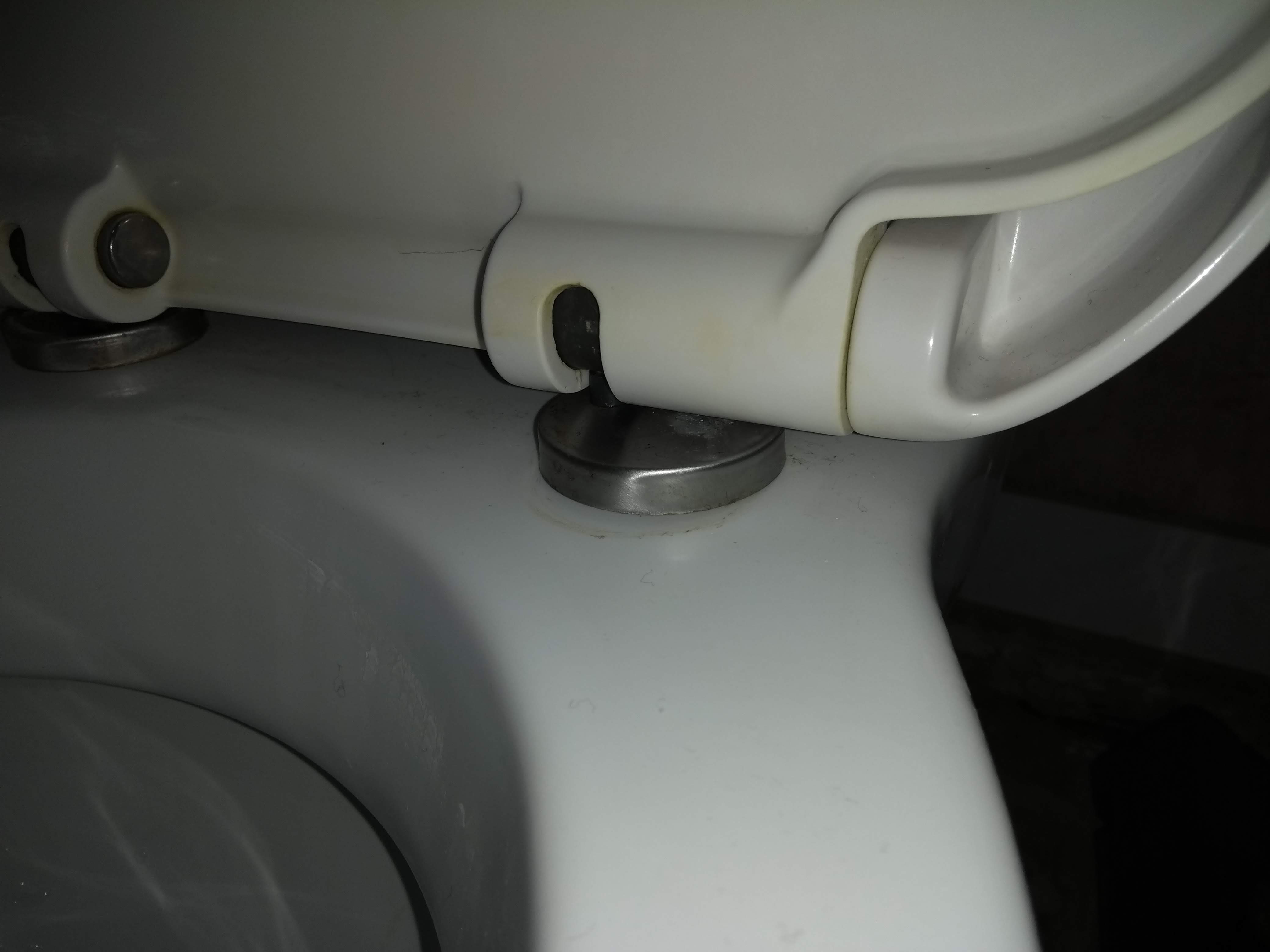 How To Tighten Toilet Seat Lid How to tighten this toilet seat Love & Improve Life