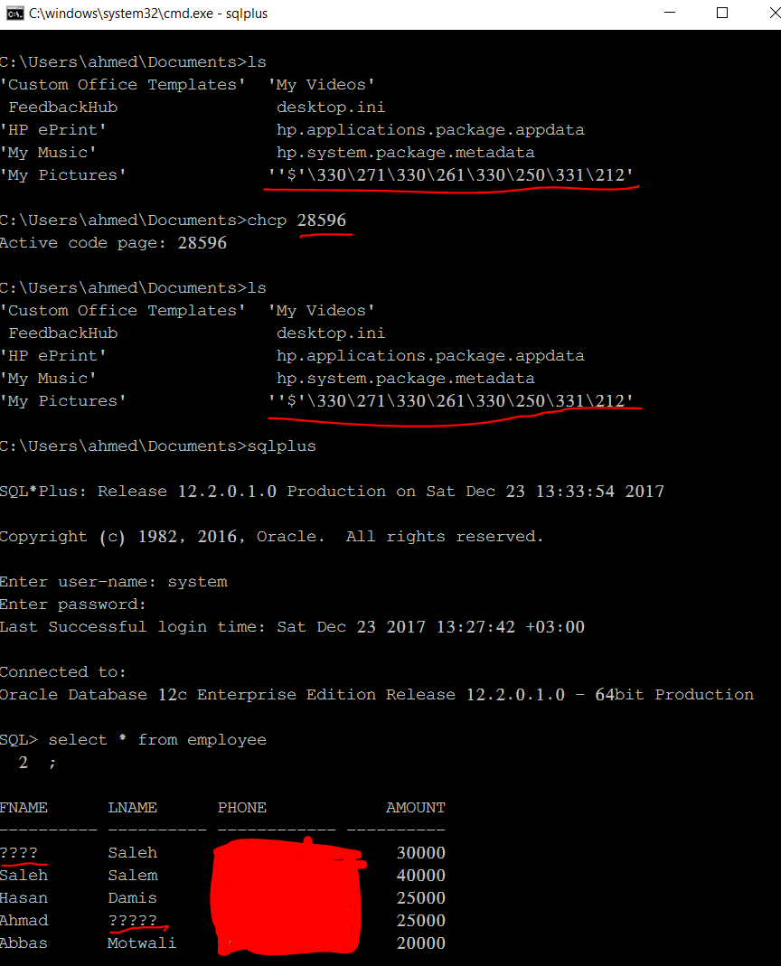 java insert / retrieve Arabic data on Oracle 12c Stack Overflow