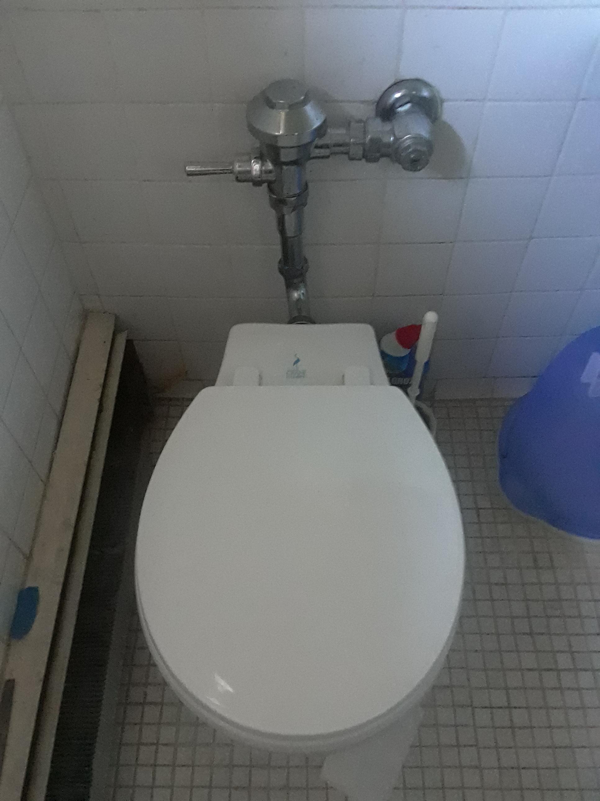 How do I lower the water level in a toilet bowl Home Improvement