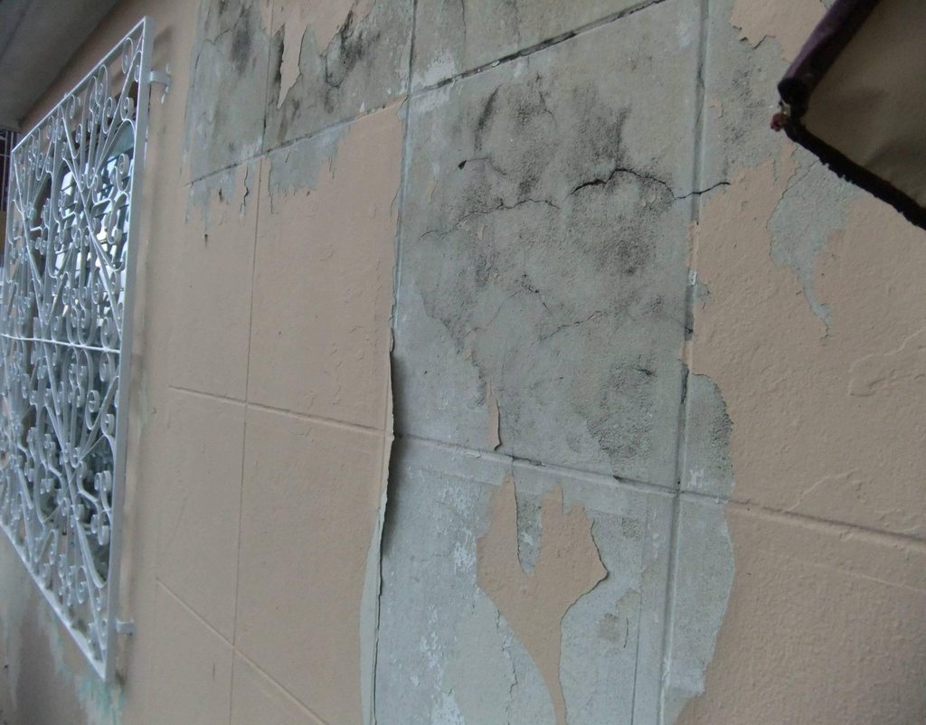 painting How do I prepare this exterior concrete wall for paint