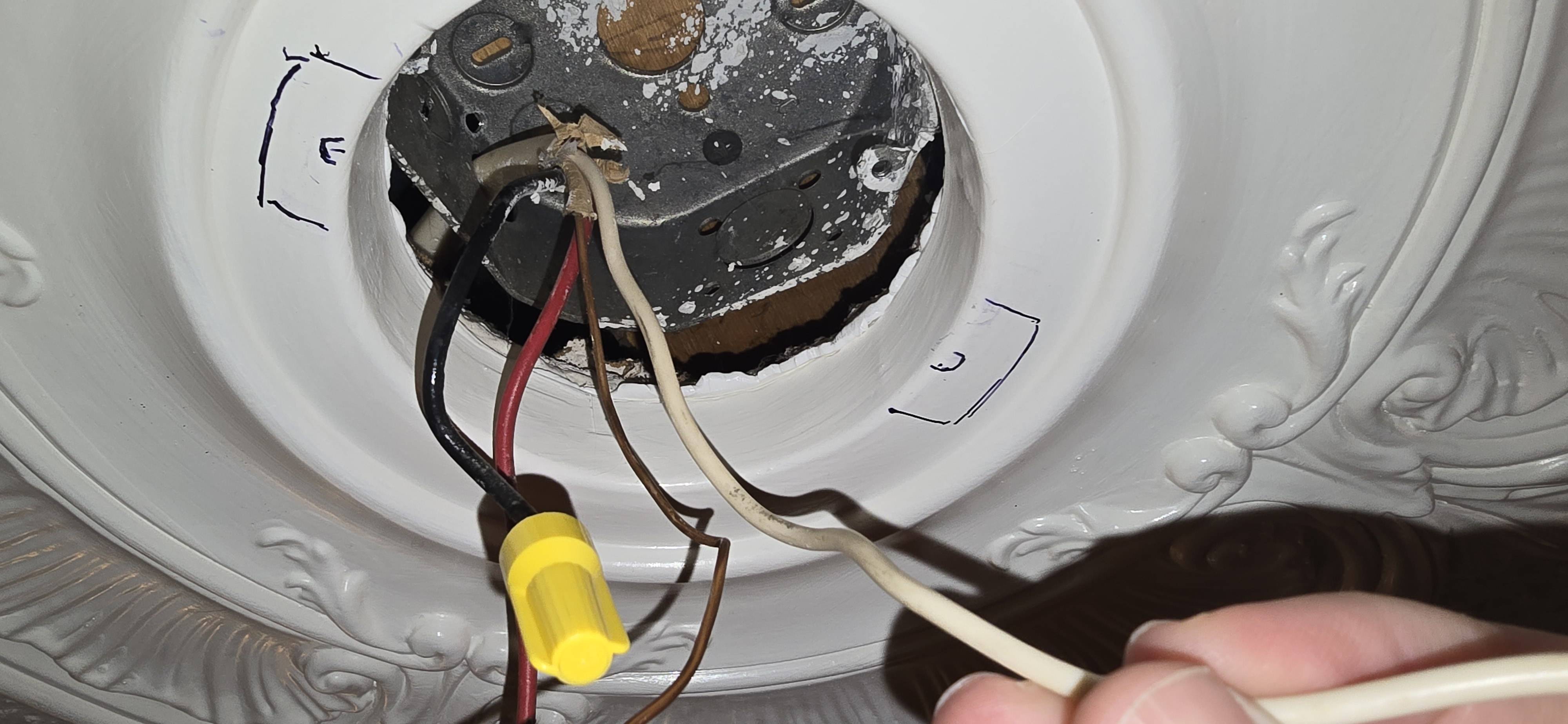 electrical - Ceiling fan outlet is hot - Home Improvement Stack Exchange