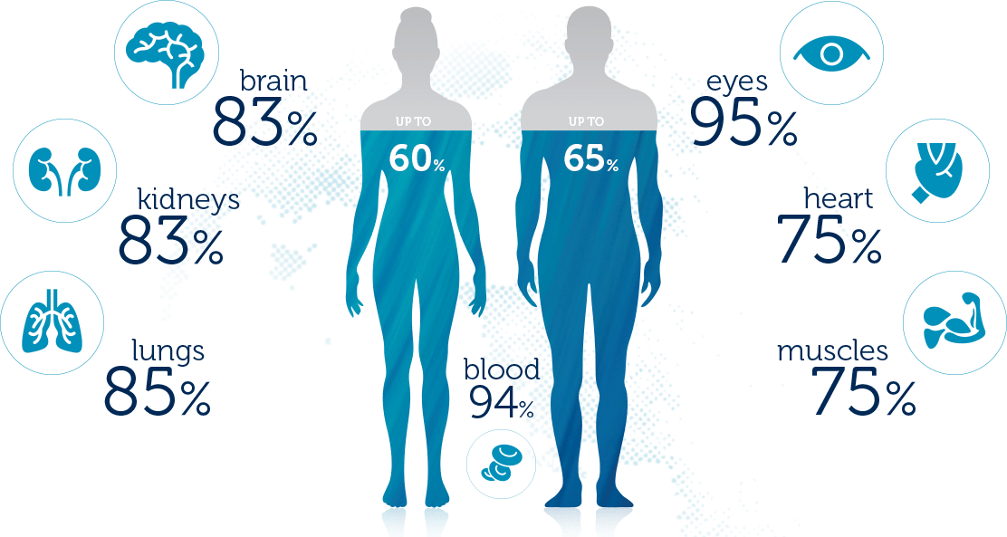biology Is the majority of the human body water? Skeptics Stack