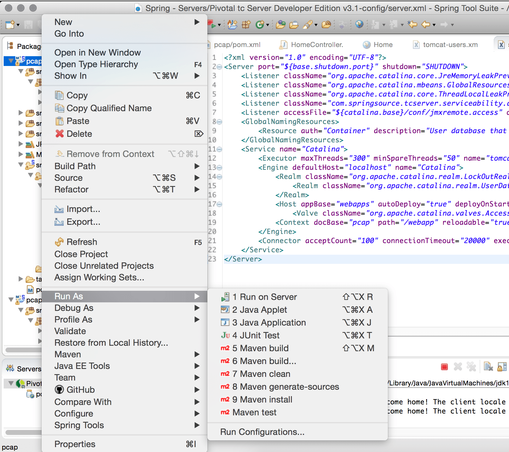 java Spring STS pivotal localhost working but ip does not Stack