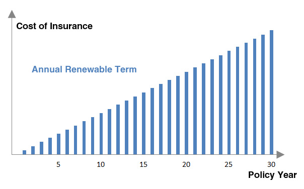 What kind of life insurance is cheaper? I'm not sure about term vs