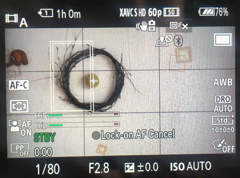 focus Continuous video autofocus speed on Sony a7 iii Video